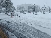 搬入会場入口前・駐車場付近