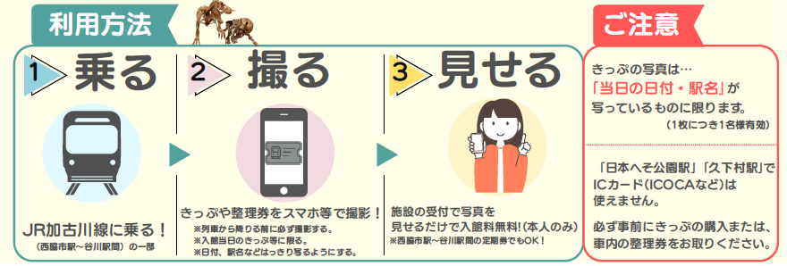 JR加古川線に乗って恐竜博物館入館無料の方法