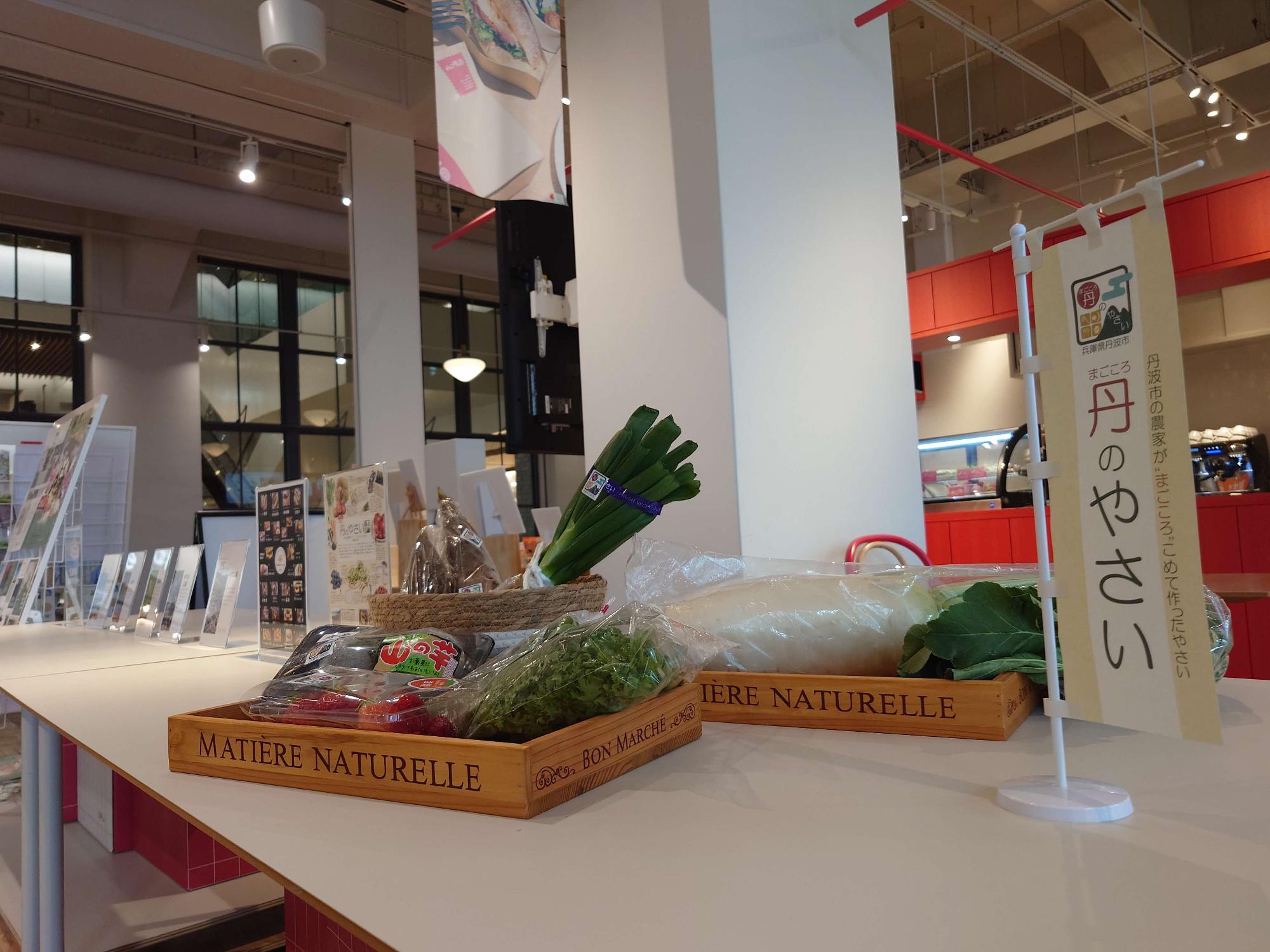 丹のやさい展示(KITTE大阪)