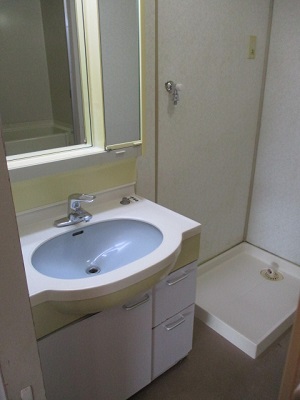 白を基調とした洗面台と洗濯パンがある写真