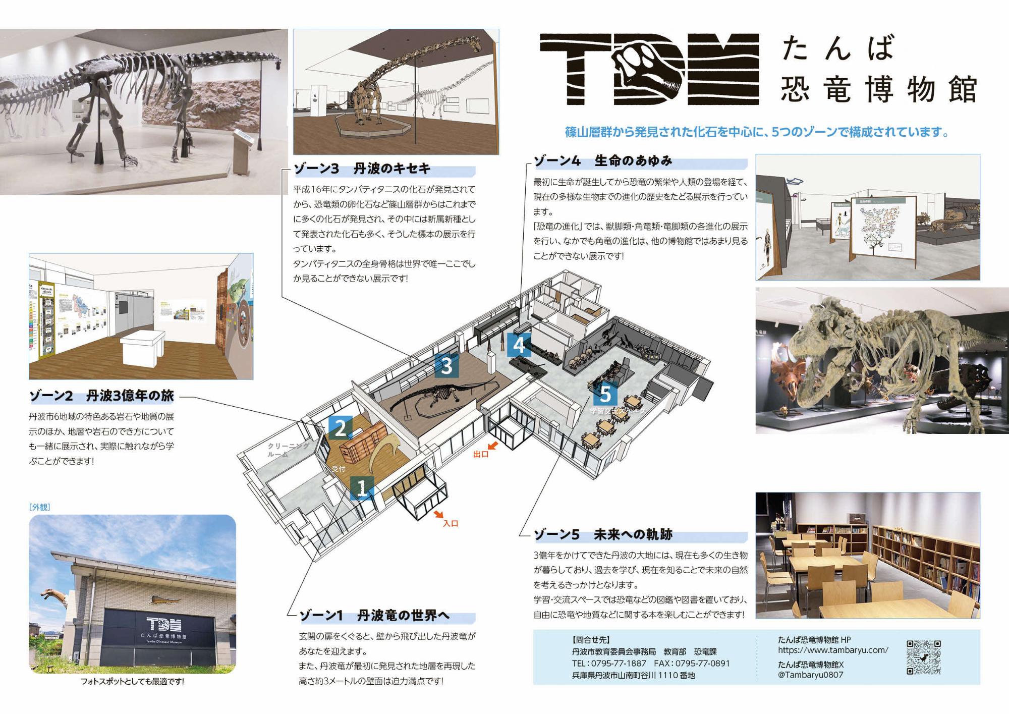 広報・教育たんば7月号の中面。たんば恐竜博物館のリニューアル開館について