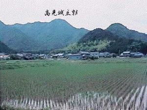 高見城主郭の位置を示している、田んぼの奥にそびえる高見山の写真