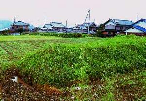 突起した土塁が緑色の草に覆われている野村城跡の写真