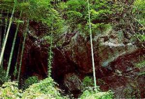 下から見た野村断層の崖の写真
