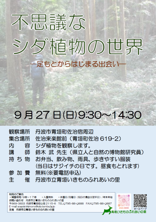 不思議なシダ植物の世界のチラシ