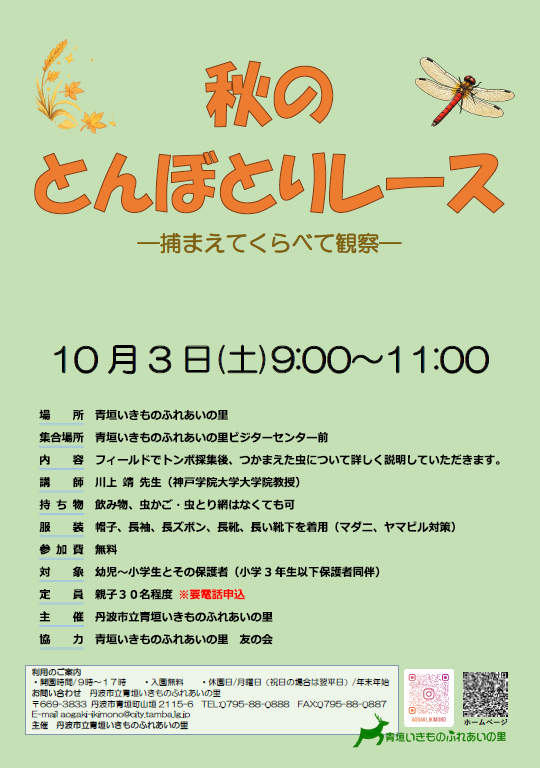 秋のとんぼとりレースのチラシ
