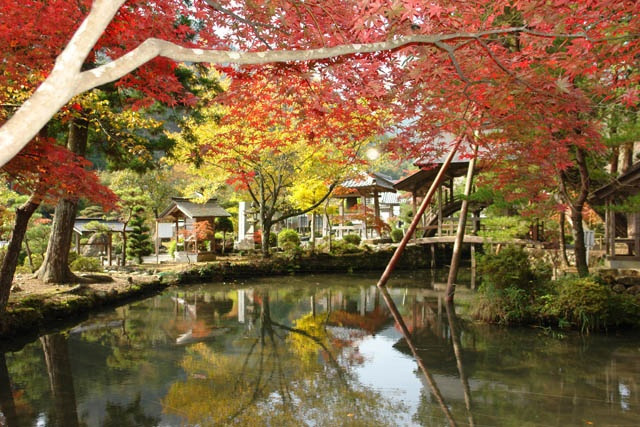 丹波市 市島町 白毫寺