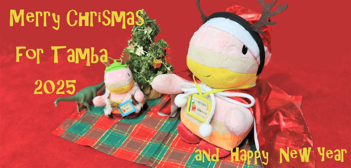 Christmasの衣装を着た丹波竜ちーたんのマスコットの画像