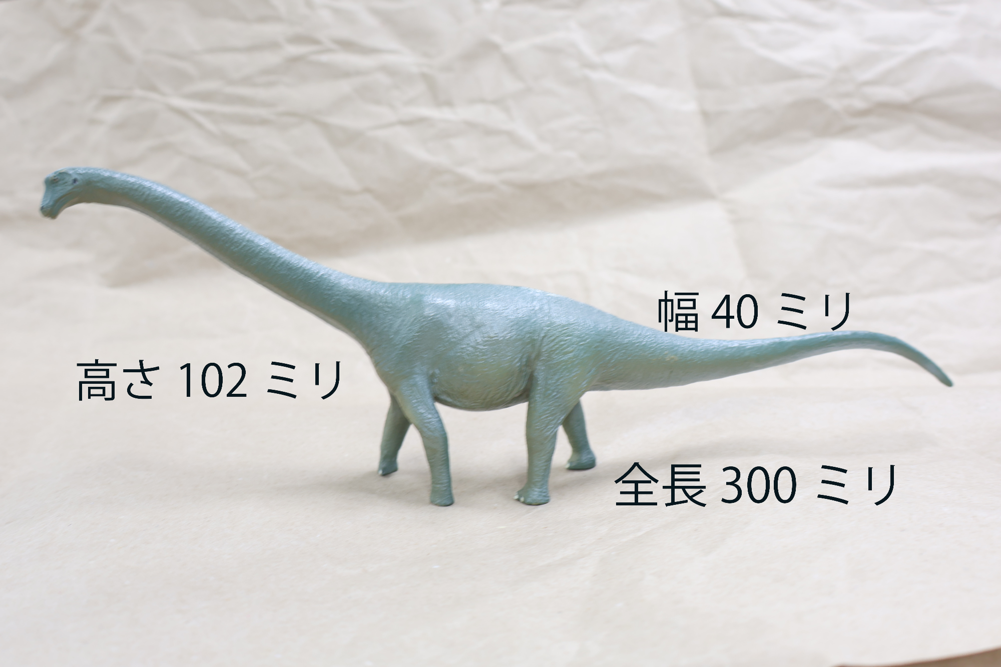 タンバィタニス・アミキティアエのフィギュアサイズ入り画像
