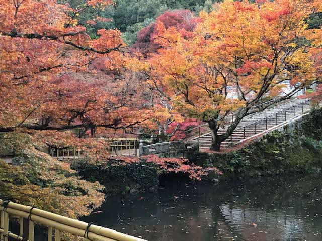 R7たんば青春俳句祭