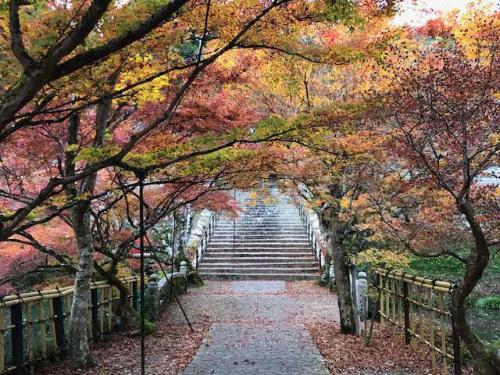 R7たんば青春俳句祭