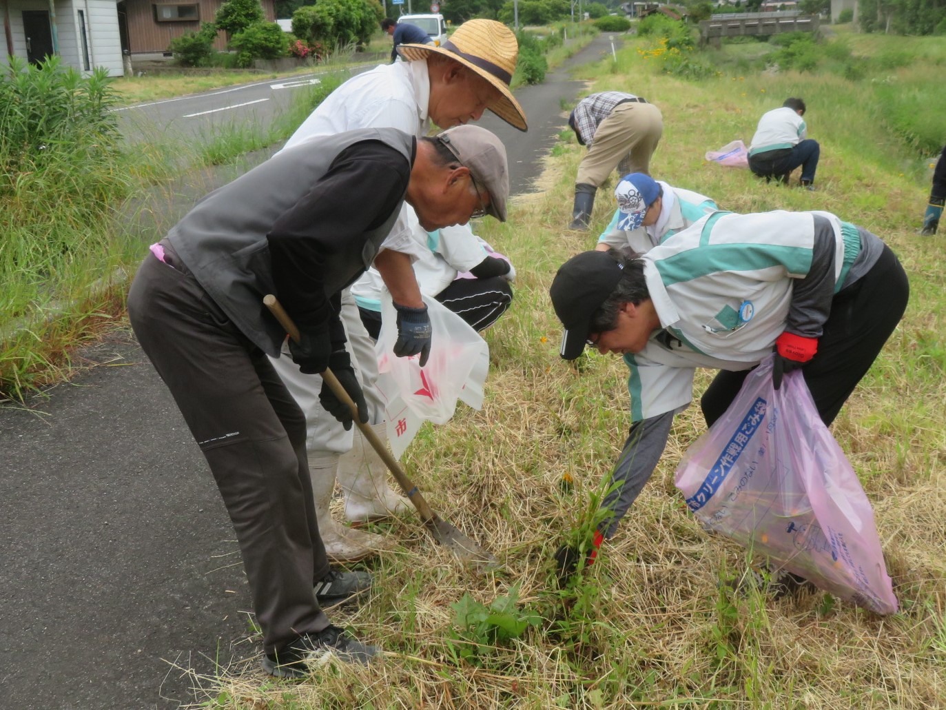 地域の人と地元企業の人が一緒にオオキンケイギクの駆除に取り組んでいる写真
