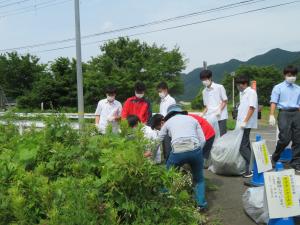 道路沿いにある草むらに人が集まっている写真