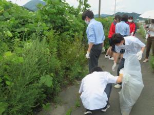 道沿いにある草むらのそばで手袋をした人たちが集まっている写真