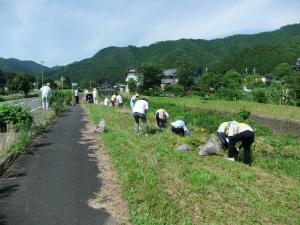 道路脇の草むらに人々が集まり草をむしっている写真