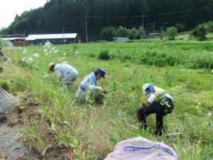 作業着を着た3人の人が草むらにしゃがみ込み草をむしっている写真