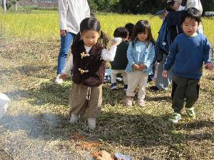 自分たちで収穫したさつま芋を焼き芋にしている様子