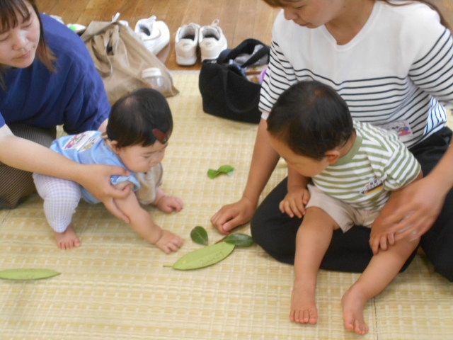5月 初夏の公園・わくわく植物遊び！