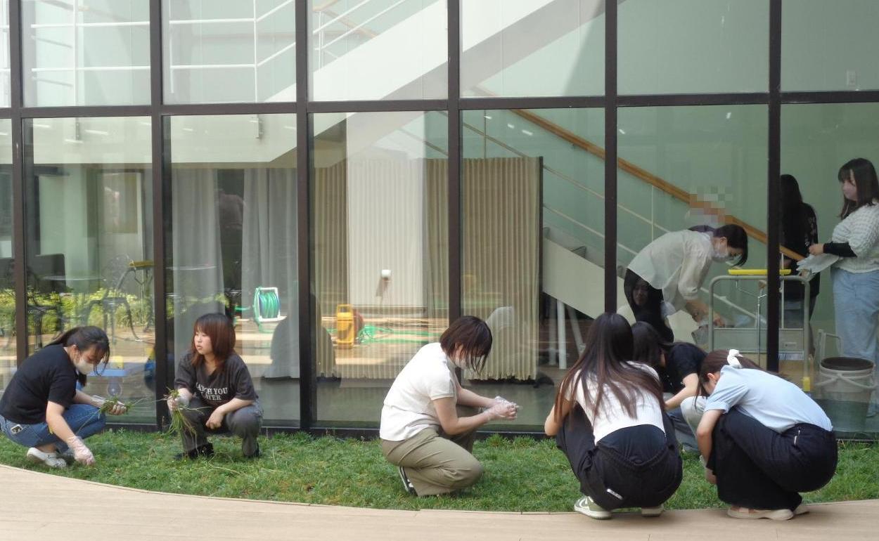 光庭の雑草を引いている学生たちの写真