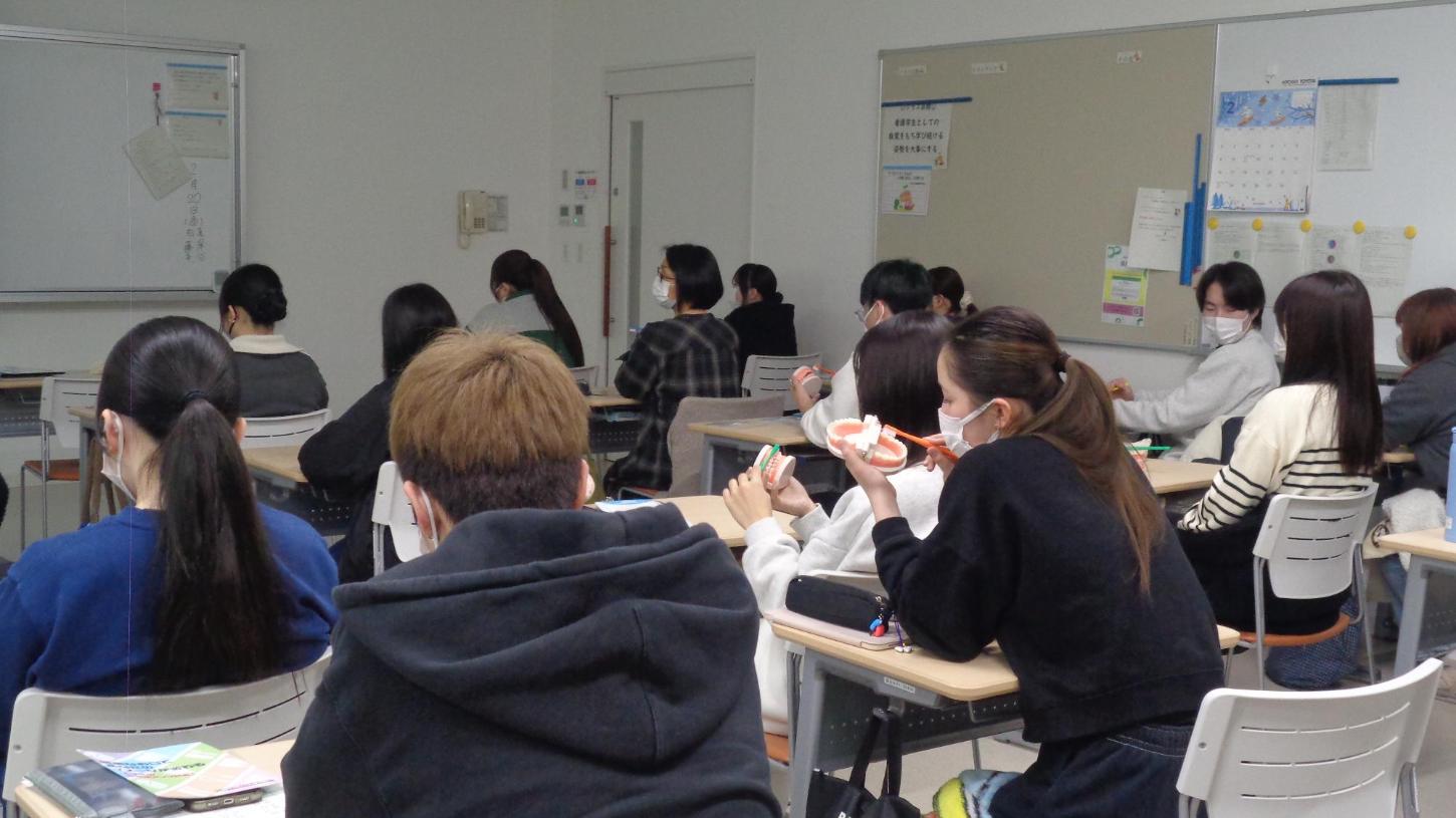 歯ブラシを持って歯の模型を磨いている学生たちの写真