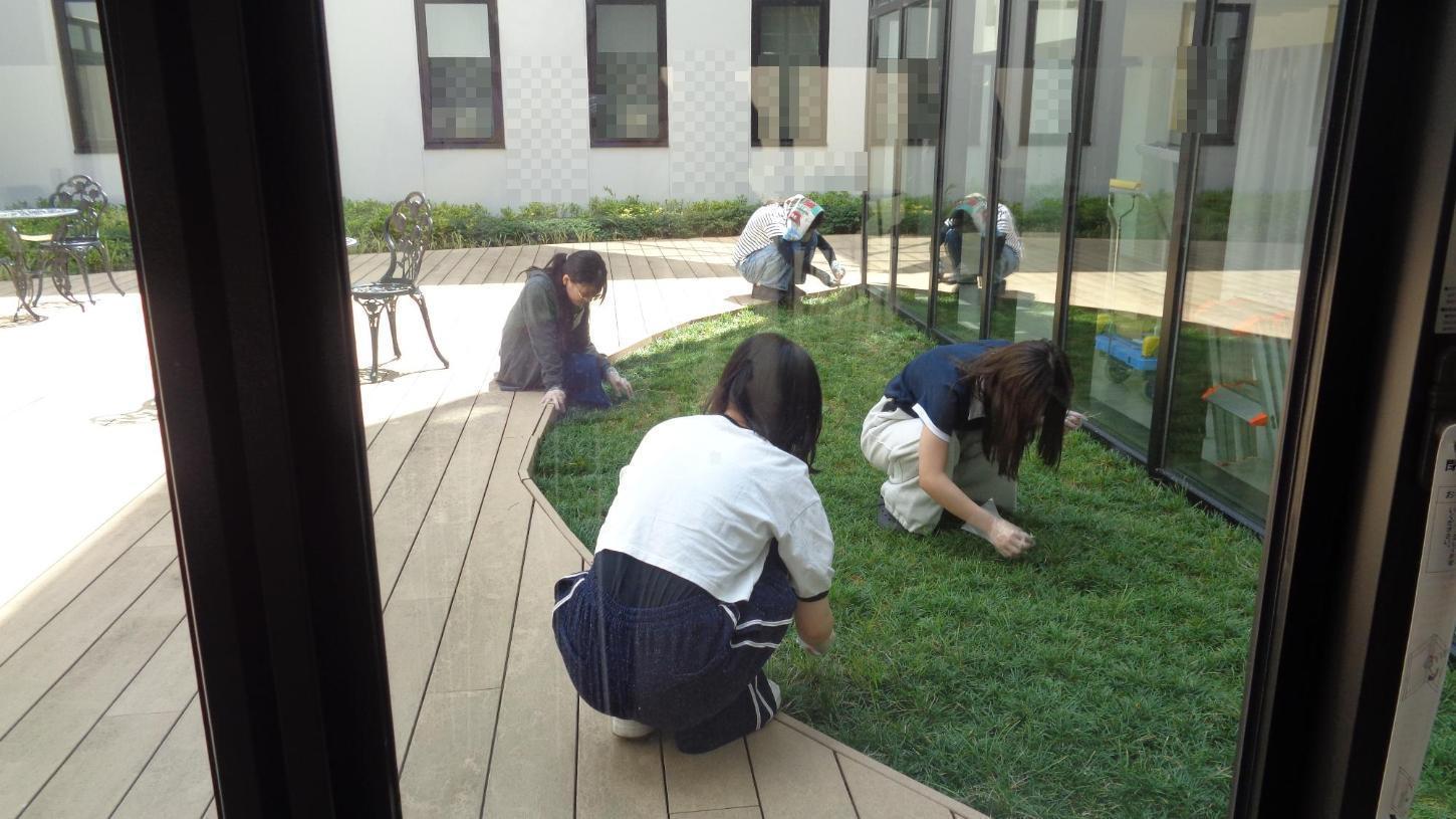 光庭の草を引いている学生たちの写真