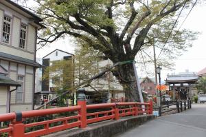 奥の神社へ続く赤い柵の神橋と、建物と木々が並ぶ街並みの写真