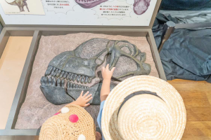 砂に埋まった状態で展示されている肉食恐竜の頭骨の模型を、手で触っている子ども二人の写真