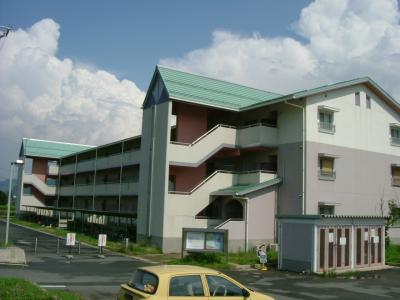外壁が白と紫がかったグレーのツートンカラーで屋根が緑色をした、3階建ての団地の外観を斜めから撮影した写真