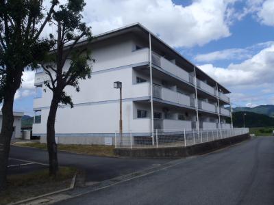 手前に木があり、その奥に建つ外壁が白い3階建ての建物の写真