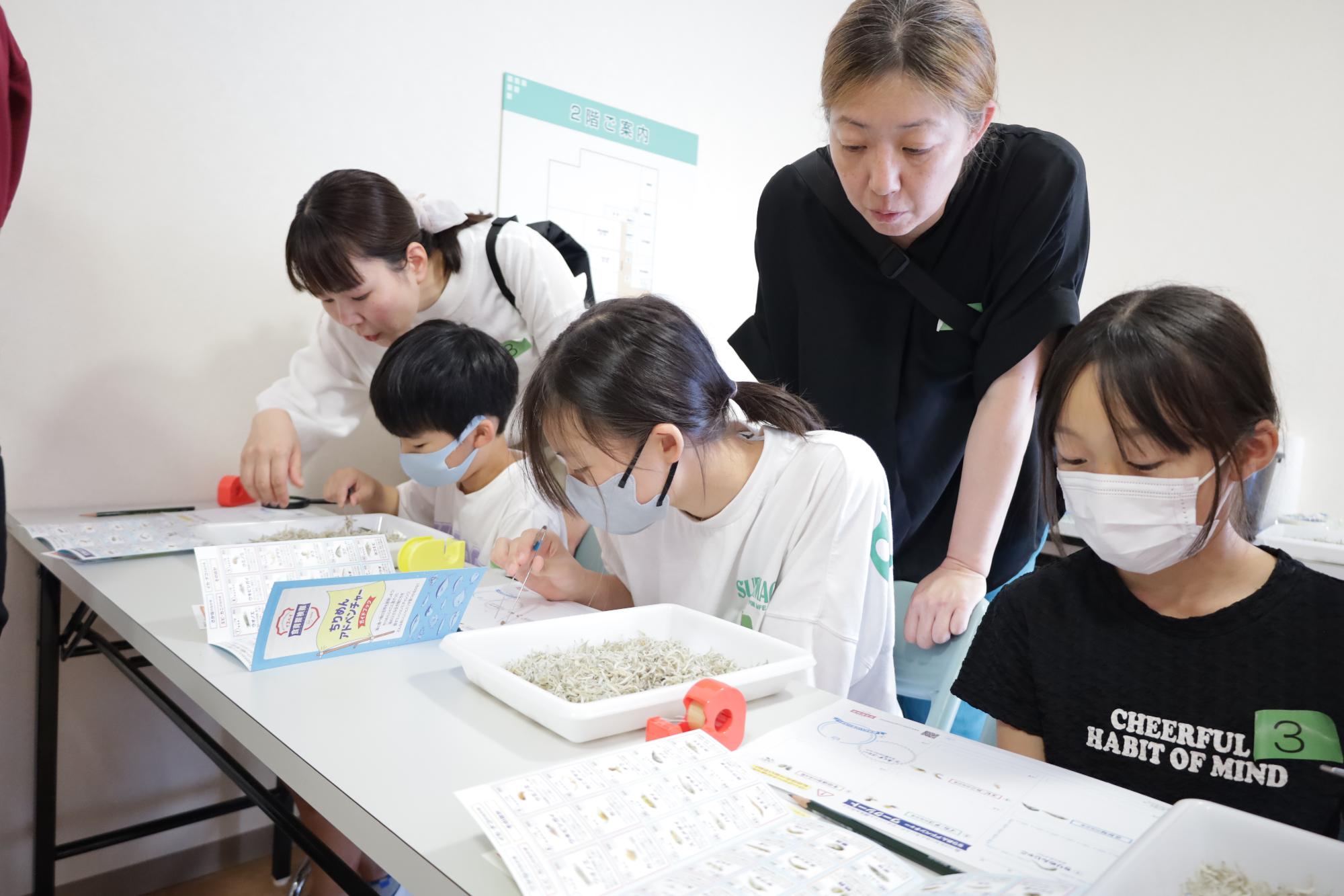 ちりめんじゃこに紛れる海の生き物(ちりめんモンスター)の選別作業をしている様子
