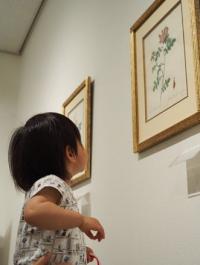 壁に展示された花の絵を見上げて鑑賞する女の子の写真