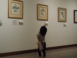 並んで飾ってある花が描かれた複数の絵画を、手に腰を当てて眺める小さな女の子の写真