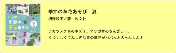 季節の草花あそび 夏の解説イラスト