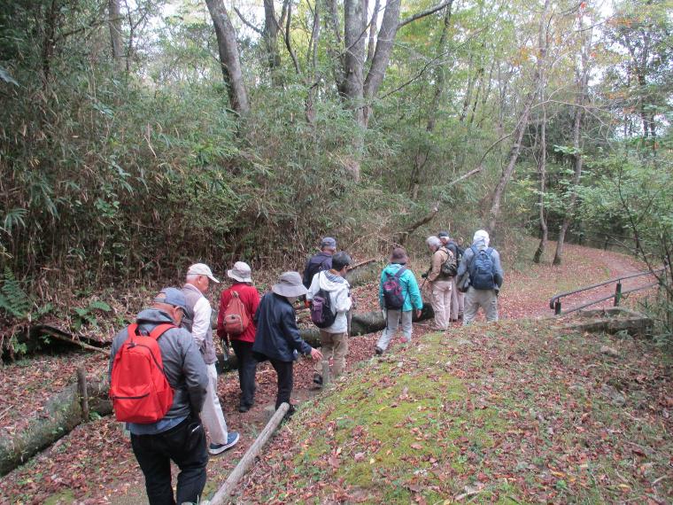 遊歩道を歩く様子
