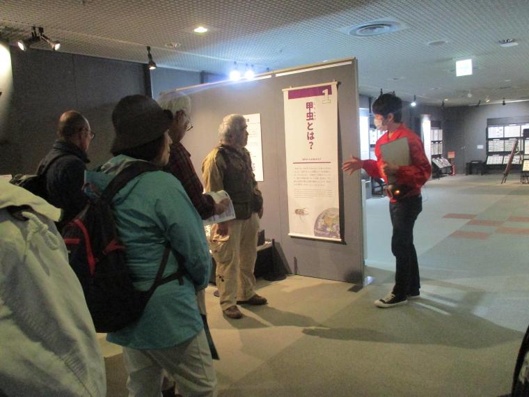 ひとはくでのギャラリートーク