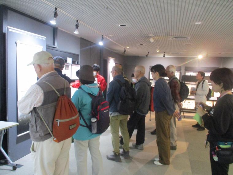 ひとはくで見学