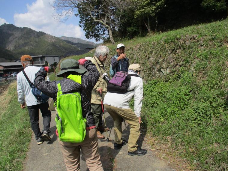 植物を観察している様子