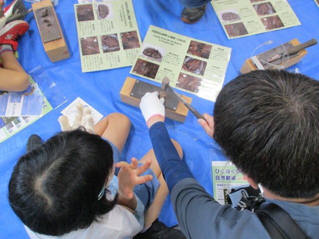 化石発掘体験の様子