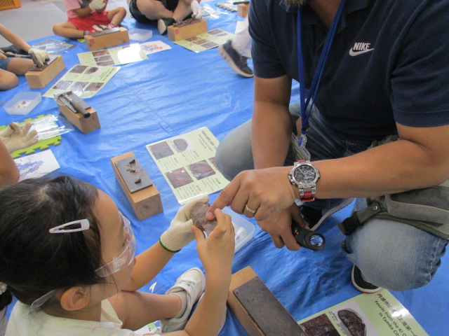 化石発掘体験の様子