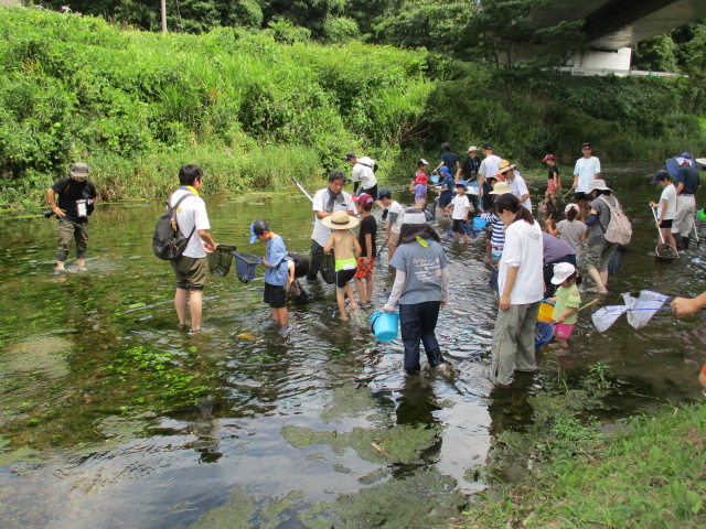 みんなで川に入る様子