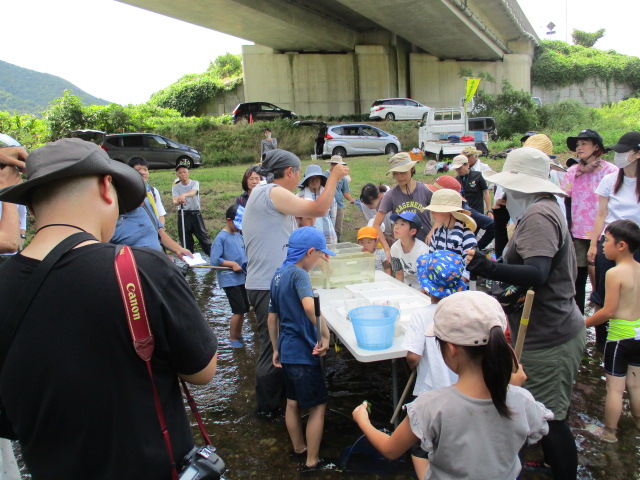 捕まえた魚などの解説