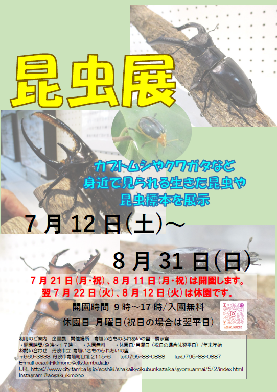 昆虫展のチラシ