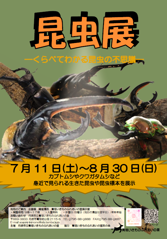 昆虫展のチラシ