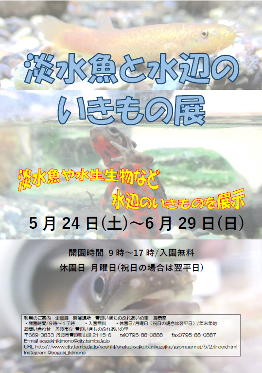 淡水魚と水辺のいきもの展のチラシ