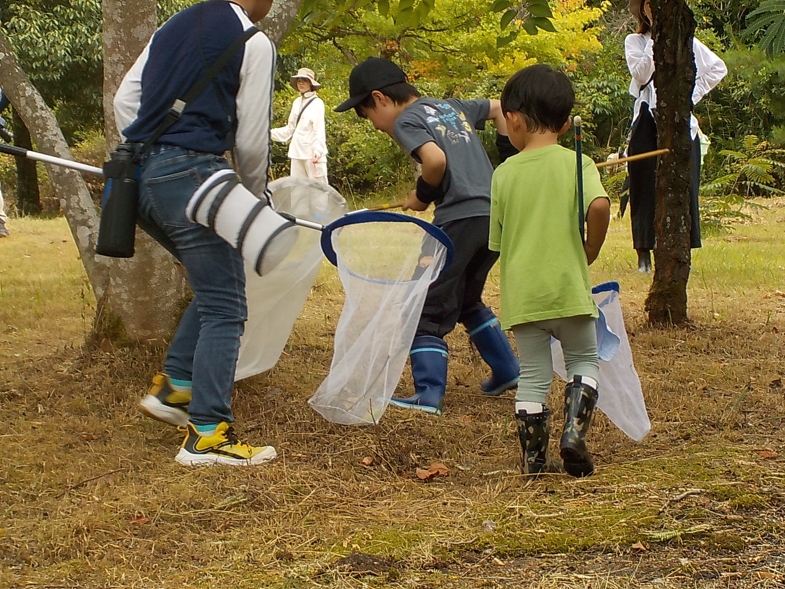 虫を発見して追いかける