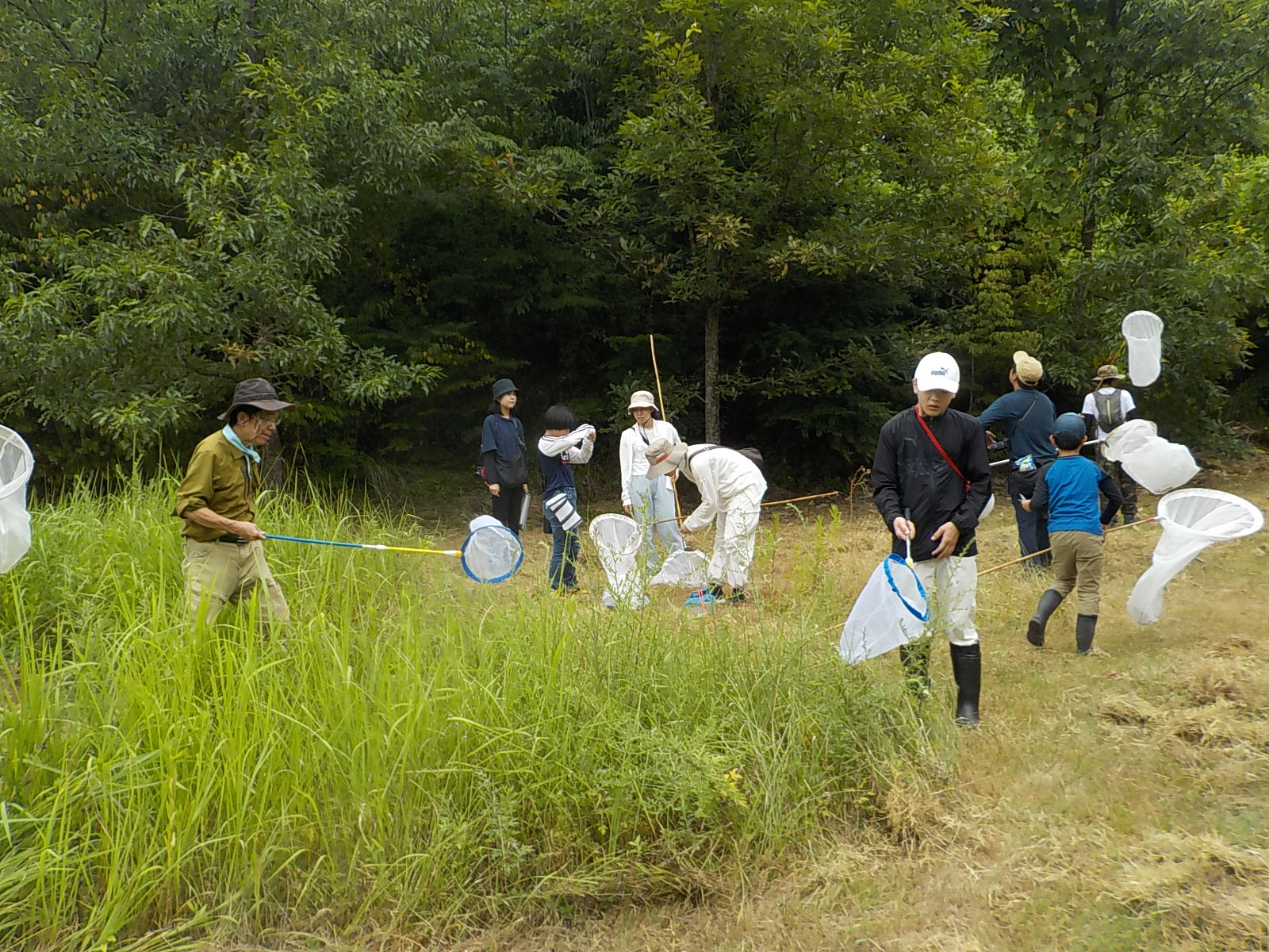虫を探して上を見たり下を見たり