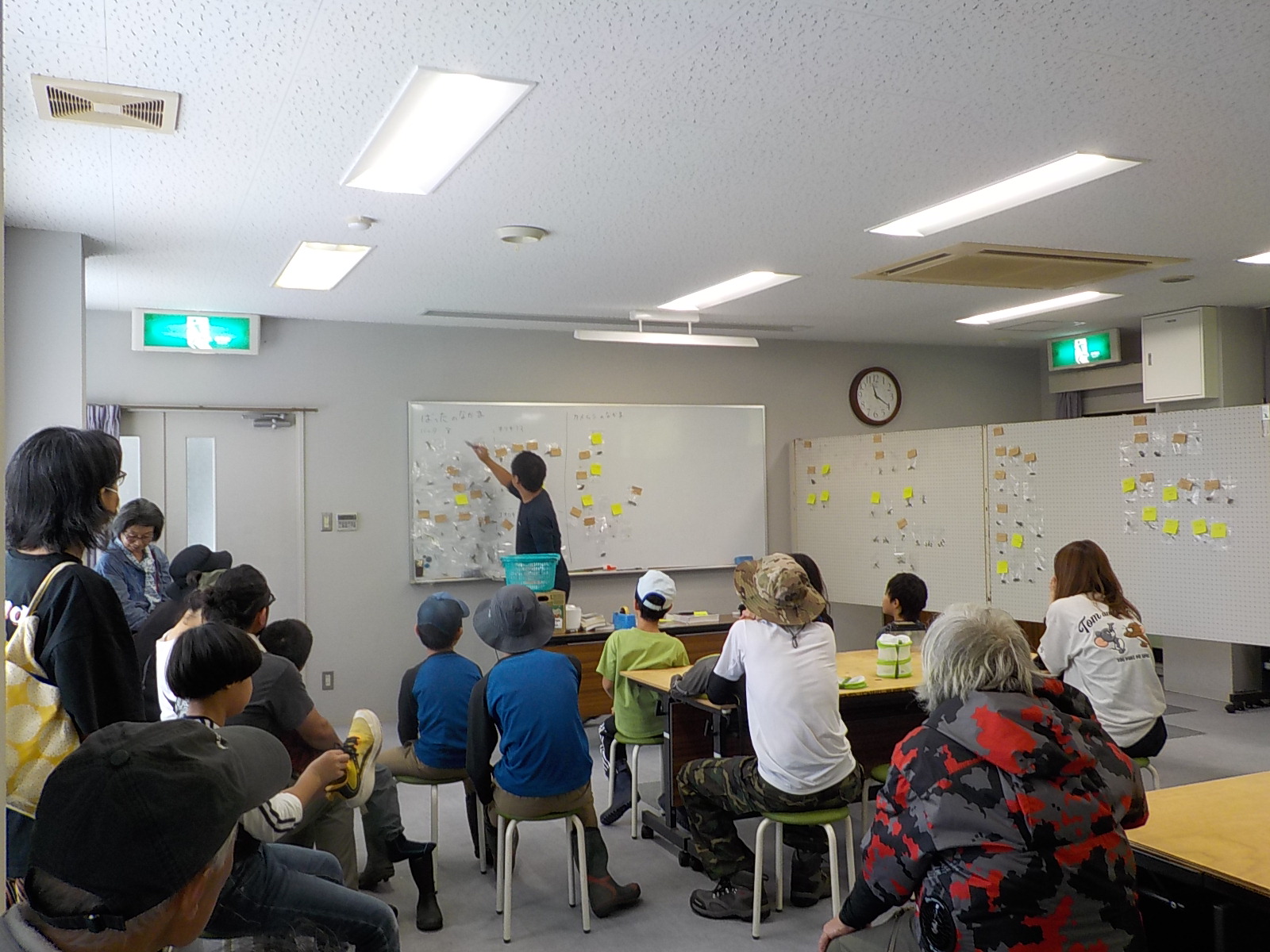 捕まえた虫たちの解説