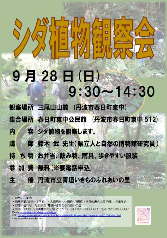 シダ植物観察会のチラシ