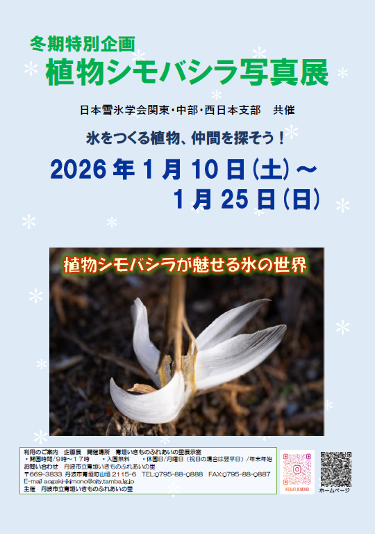 植物シモバシラ写真展のチラシ
