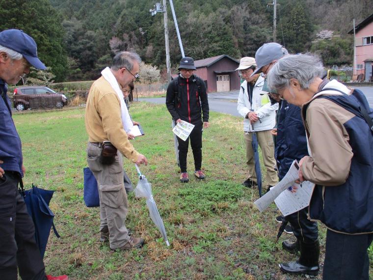 タンポポの説明をしている様子